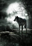 Night Wolf by no1intheworld