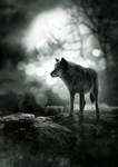 Night Wolf by no1intheworld Night Wolf by no1intheworld