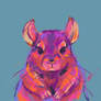 Colorful Chinchilla