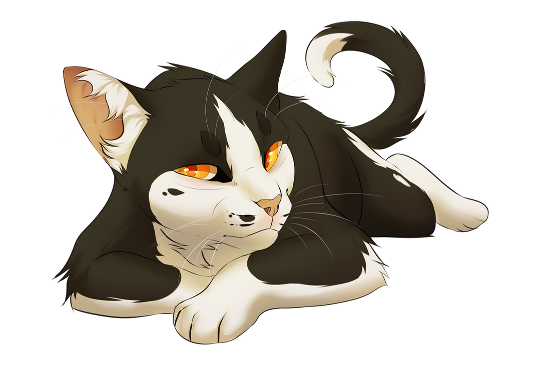 Swiftpaw