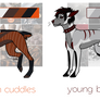 :ADOPTS: OTA canines Paypal and Points CLOSED