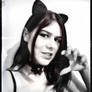 Beta kitten