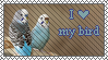 I love my bird