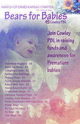 PBL Poster 1