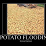 Potato Flooding