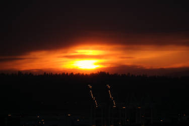 Sunset over Cranes