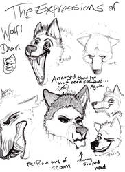 WolfDean Expressions