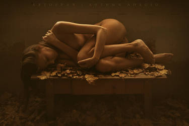 Autumn Adagio by ArtofdanPhotography