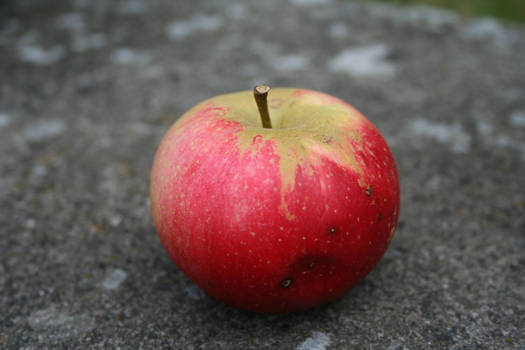 Apple on concrete.