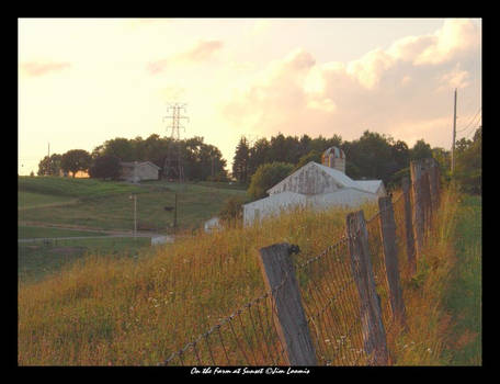 On the Farm at Sunset