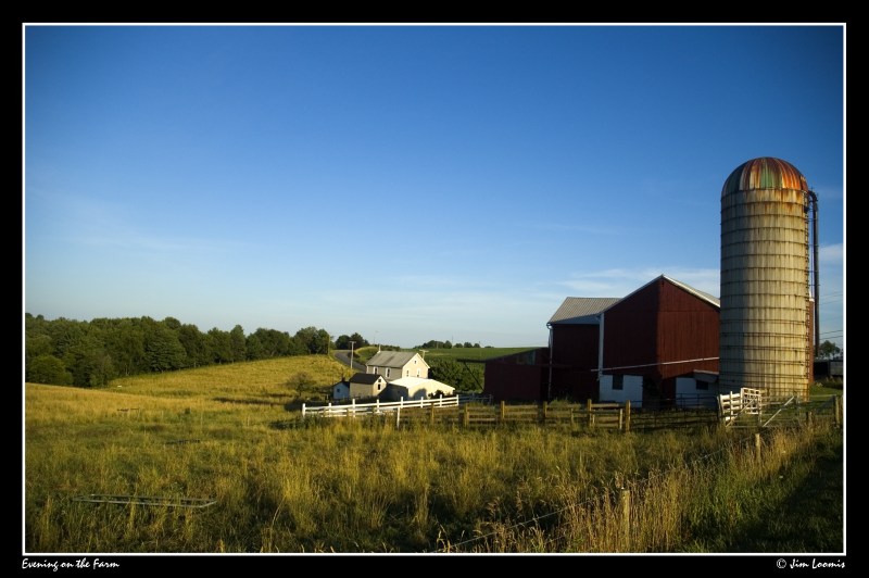 Evening on the Farm