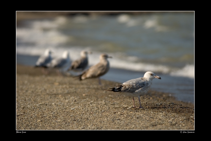 Shore Line