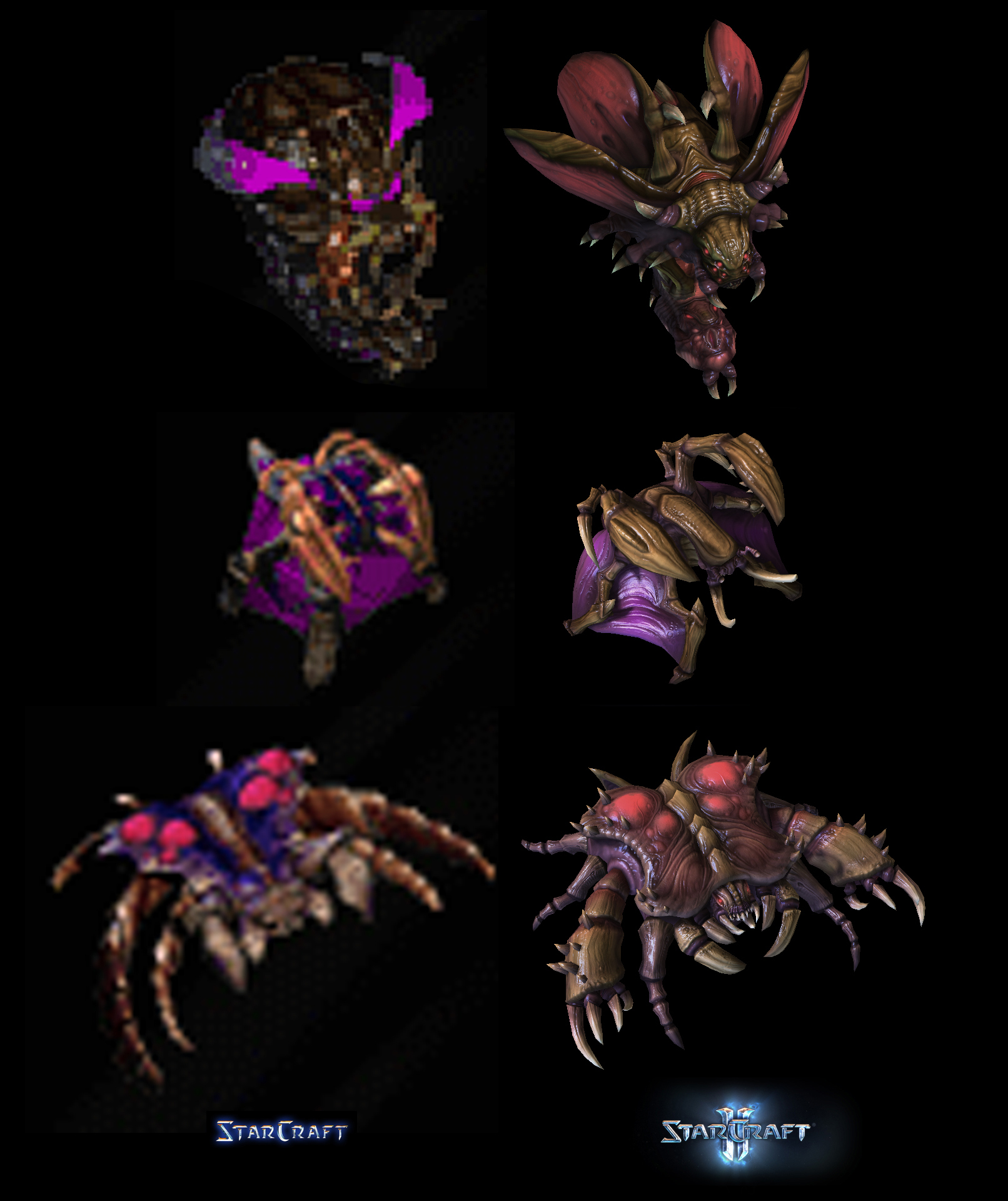 Zerg Compare by Boarguts on DeviantArt