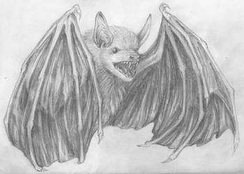 Day 14 - Bat