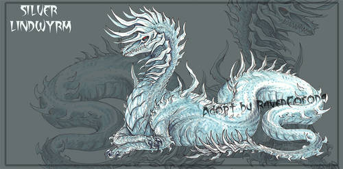 ADOPT AUCTION | Silver Lindwyrm [CLOSED]