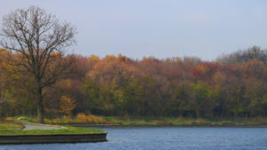 autumn on lake...