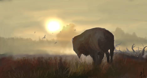 Bison