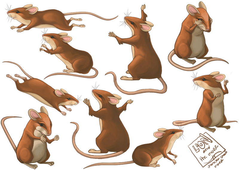 Mouse Character Sheet by WilsonWJr on DeviantArt