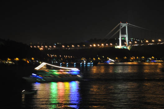 The Bosphorus Boat