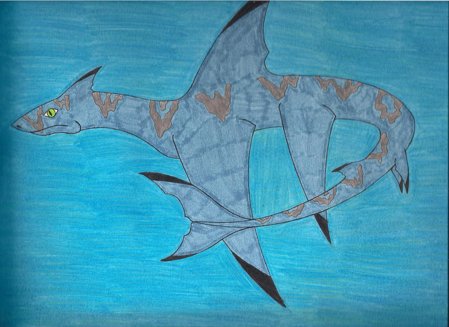 Shark Dragon-Sketch by Rubbish-Spud on DeviantArt
