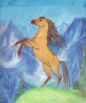 Request: Spirit