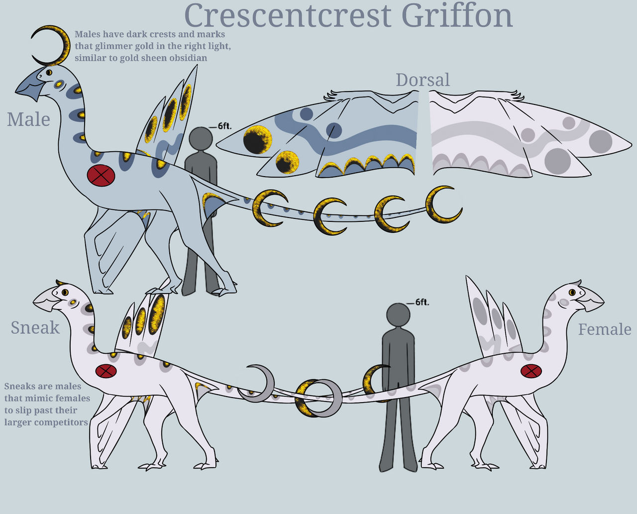 when the moon pecks your eye