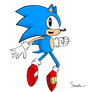 Sonic Mania Project