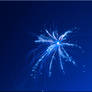 Blue Firework in a Blue Night Sky