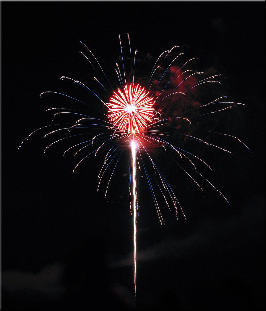 Flower Firework