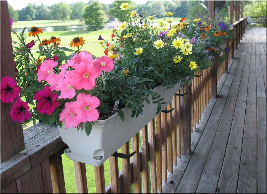 Flower Boxes by WDWParksGal-Stock