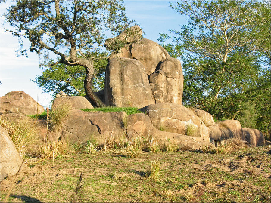 Pride Rock Animal Kingdom