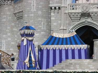 Cinderella Castle Close-up