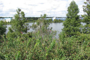 View from the Room 2 by WDWParksGal-Stock