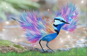 Blue Bird with Rainbow Wings