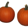 Pumpkins Pair Clear-Cut Tube