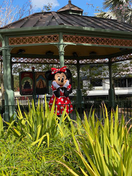 Character Reference Minnie Mouse IMG 3261