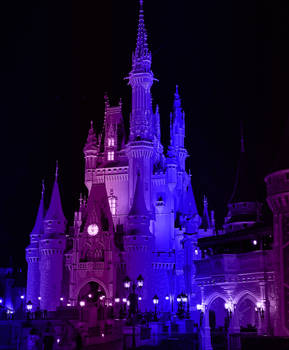 V 3 Cinderella Castle Night View IMG 5164