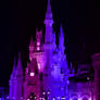 V 4 Cinderella Castle Night View IMG 5164