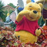 Pooh on the Float Day Parade