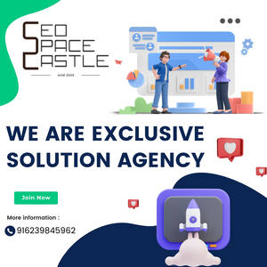 Want to Outsource SEO Services? SEO Space Castle p