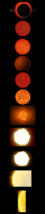 Sun Collage1