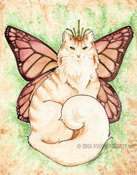 Monarch Kitty