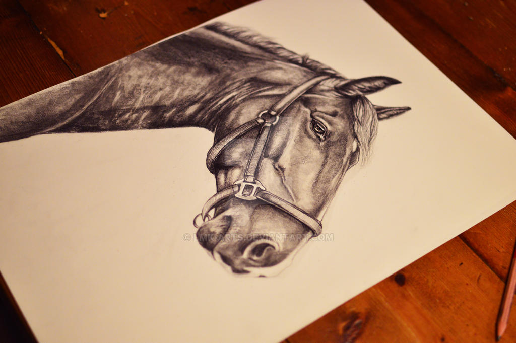 Horse on graphite