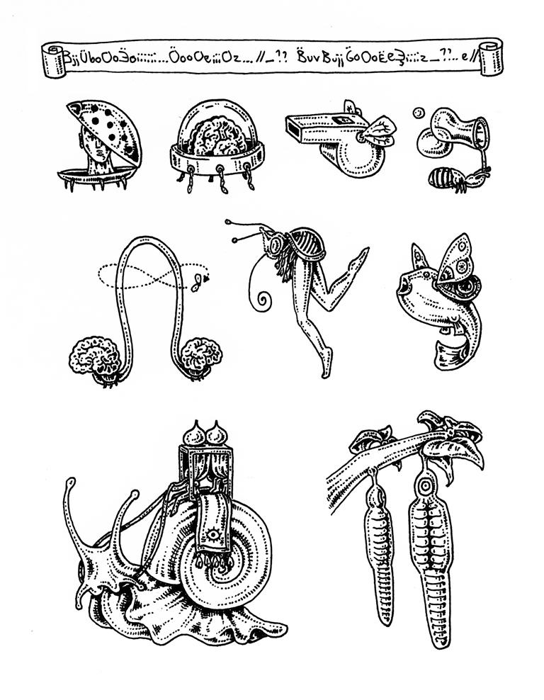 Insect Codex Codex : Insects by flamidus on DeviantArt