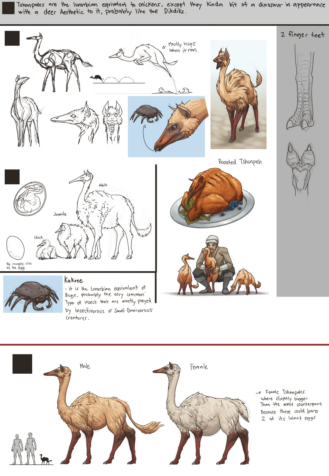 Tshanpah (Tiphopper) (LWB Concept) by Blits-Koalakatto on DeviantArt