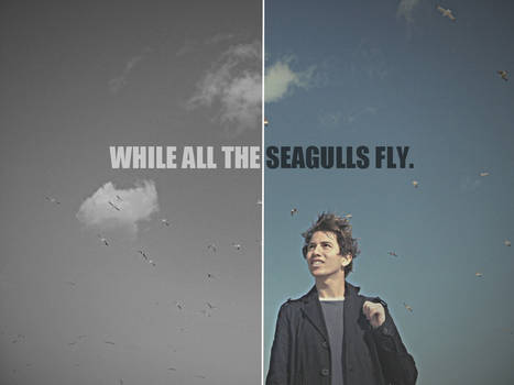 while all the seagulls fly