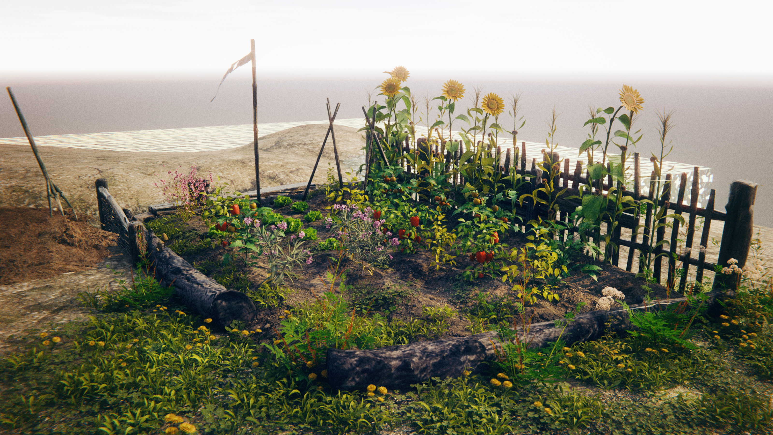 Vegetable Garden Added