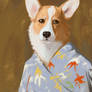 Corgi Portrait