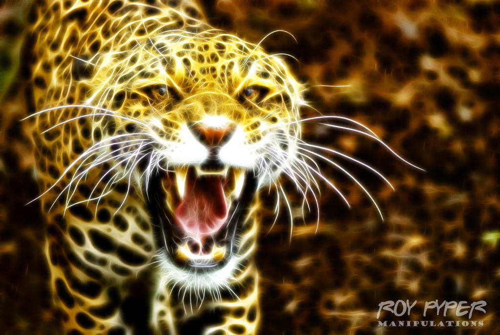 Angry Predator Angry Predator: Fractalius Re-Edit by RoyPyper on DeviantArt