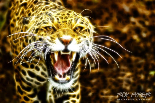 Angry Predator: Fractalius Re-Edit